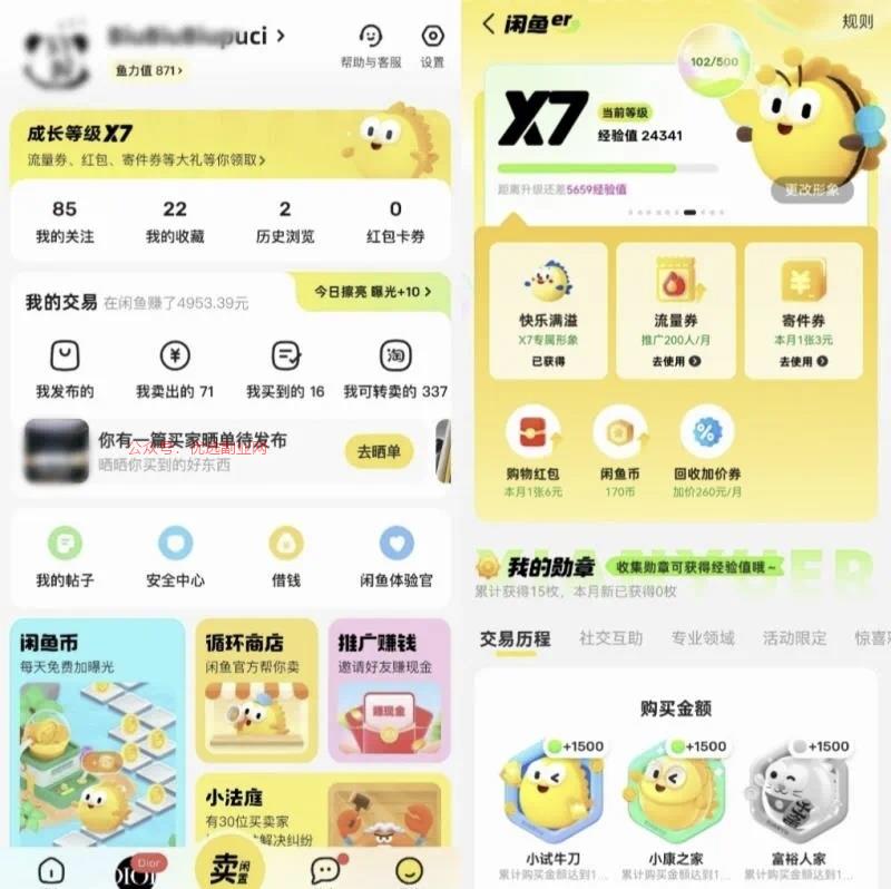 闲鱼灰度测试“会员体系…#情报-搞钱情报论坛-网创交流-优选副业网